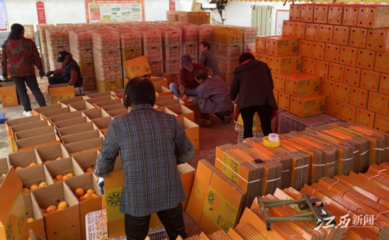 江西崇义 壮大村集体经济 开创强村富民新局面