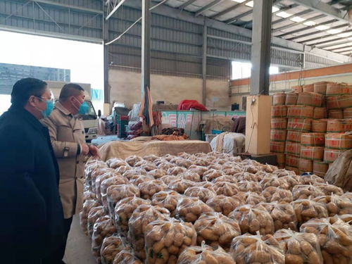 连云港农副产品批发市场畅通本地蔬菜销售通道，助力农副产品高效流通