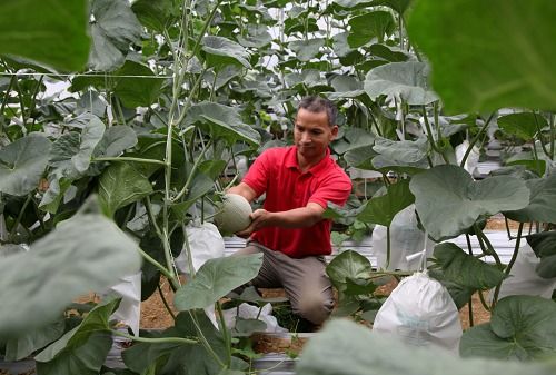 喜看连樟村 今日面貌新 机械设备研发助推乡村振兴