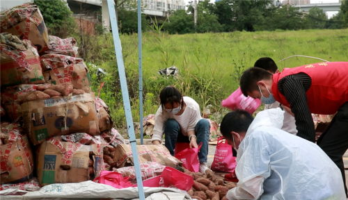 大爱接力 武汉志愿者团助力临沂农副产品销售，推动机械设备研发